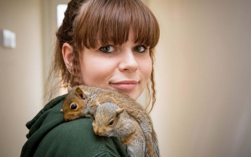 Mother saw squirrels in her window – but when she taken a closer look at them she called the police immediately…