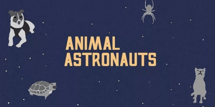 Animals That Have Visited Space InfoGraphic